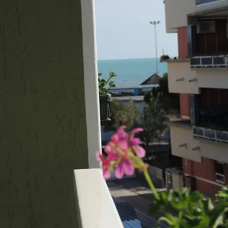 Ai Fiori فندق 2*